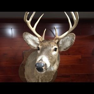 Meet your Posher, Ricky